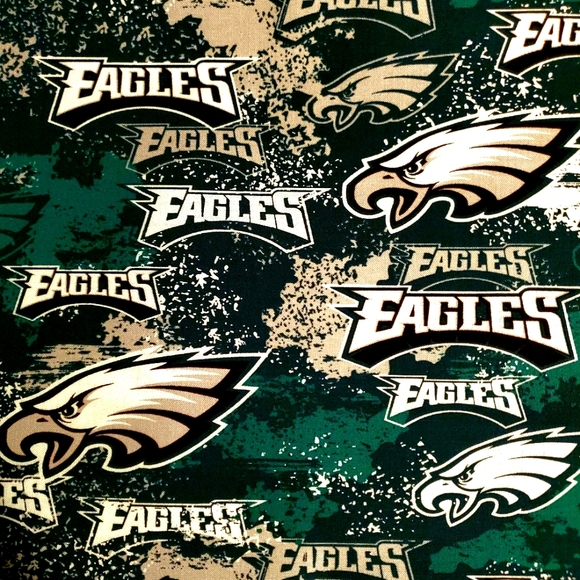 13" X 13" Philadelphia Eagles Pillow - Picture 1 of 1